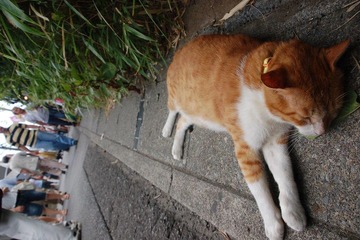 DSC_8123.JPG