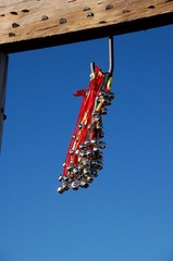 D50_0192.JPG