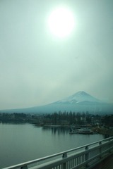 DSC_1949.JPG