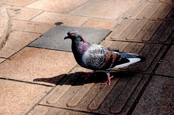 D50_0044.JPG