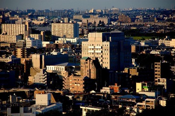 D50_0131.JPG