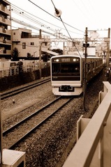 D50_0147.JPG