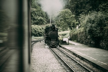 393292