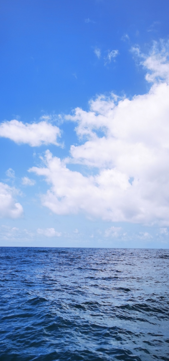 手机桌面的海天一线欢迎收藏关注