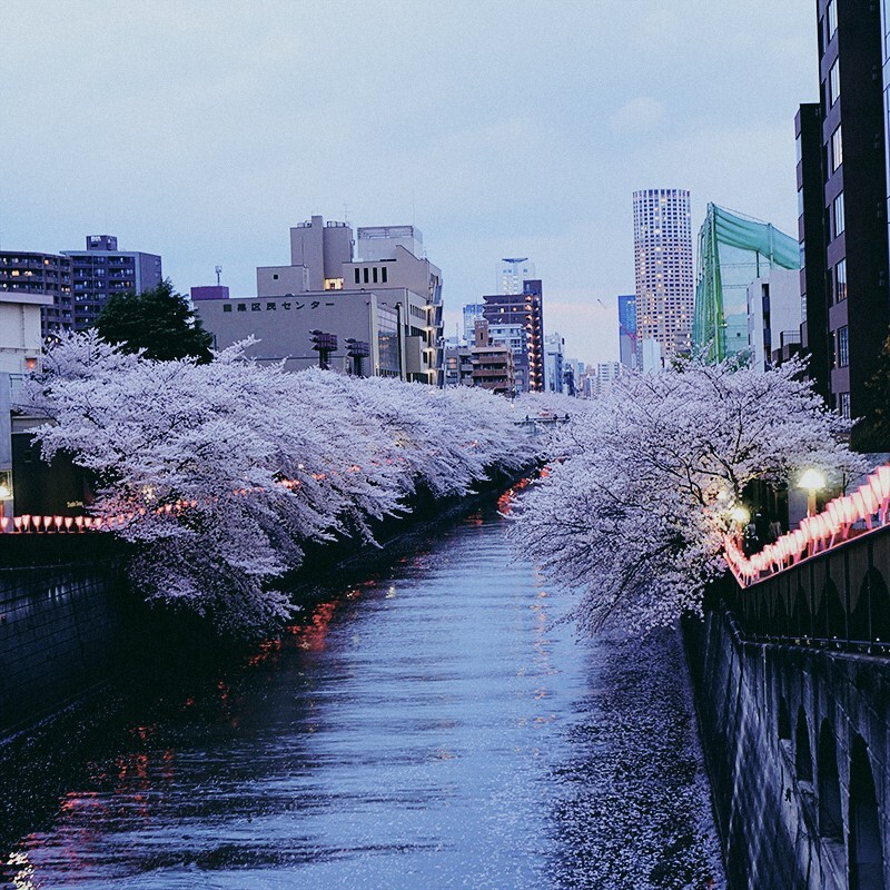 微博：@凉榻 