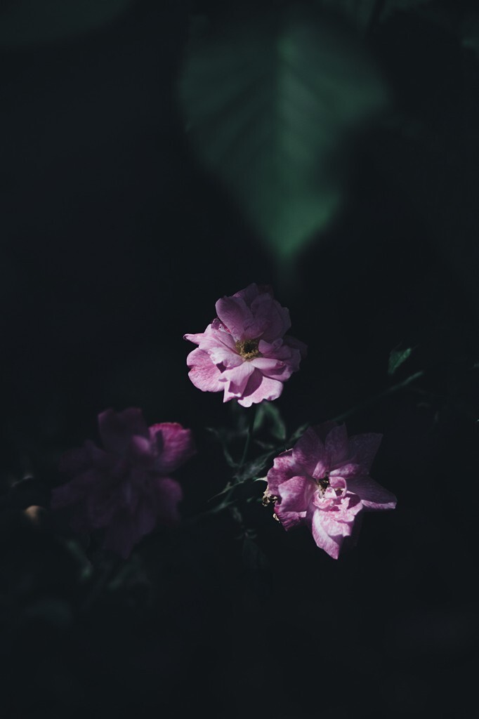 微博：@凉榻