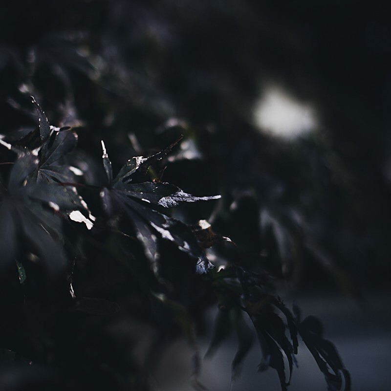 我的微博：@凉榻