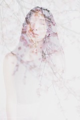 花の願い。