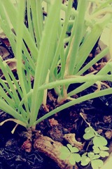 IMAG0806_副本.jpg