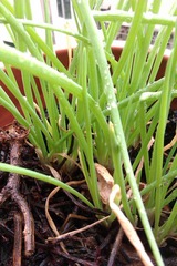 IMAG0805.jpg