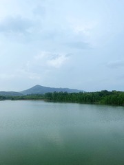 9D5004B3-CC46-4450-A423-D29494EF34C4/L0/001