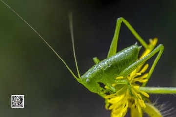 1716972