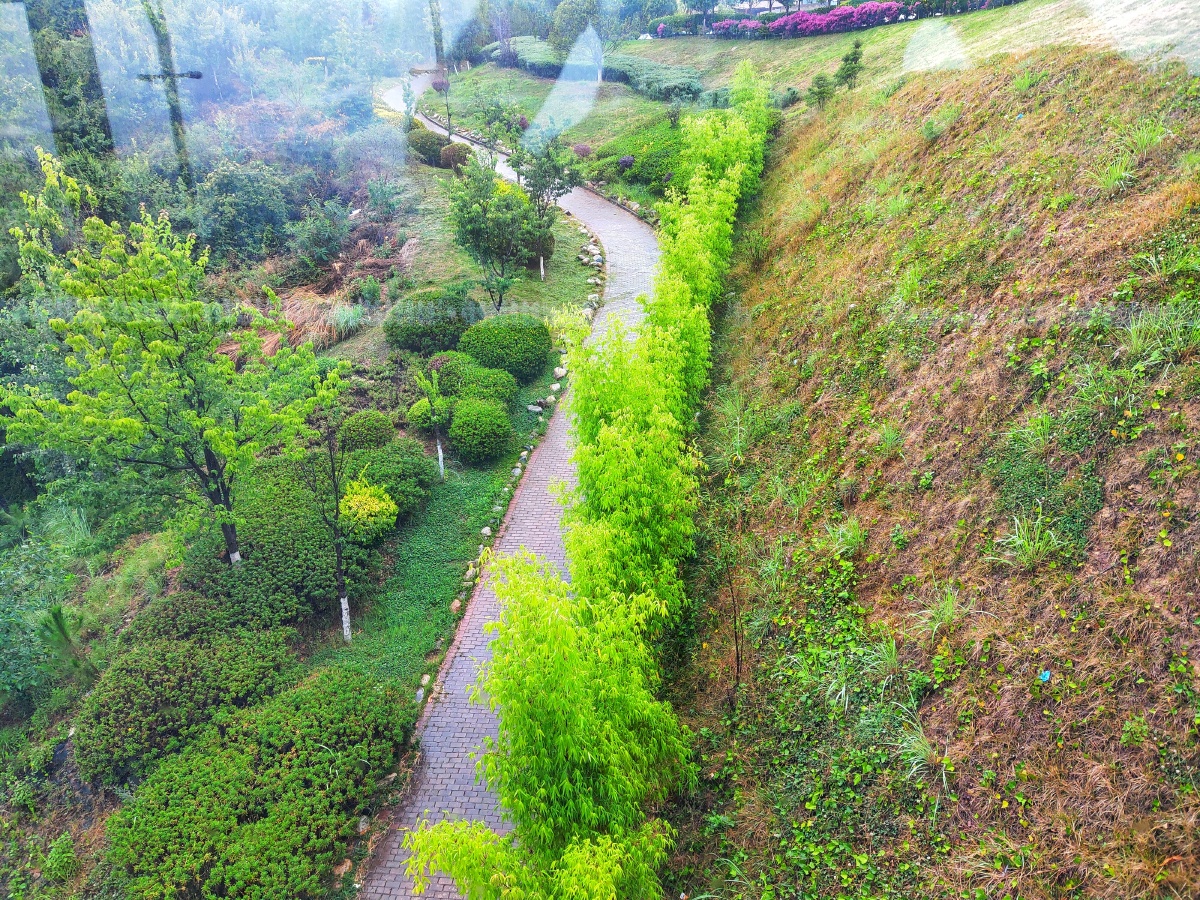 山中小路