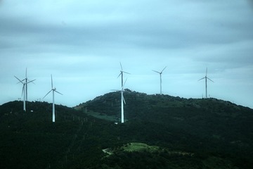 D223D493-6240-4E9F-A664-020564DED487/L0/001