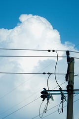 9AC8691B-BB2E-4950-AF8C-F2429E84336D/L0/001