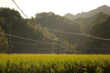 8CF739BF-4288-4F59-9C93-11C5D46A9B52/L0/001