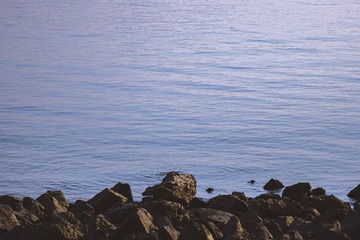 3A259758-9DF8-4A55-96BB-A255C55C509F/L0/001