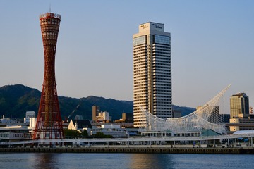 85817D14-1BC3-458C-8E02-BF3FAD8FB687/L0/001