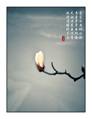D3837685-09C9-4435-8F0B-8D0CCA1AB936/L0/001