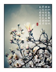 A6D93156-4E6A-498A-8283-ABC2FFD012D6/L0/001