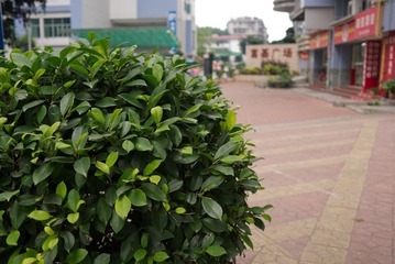 L2150405.jpg
