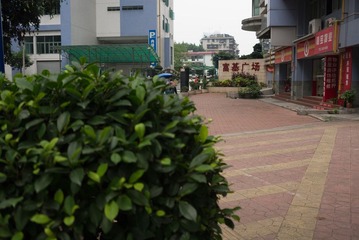 L2150406.jpg