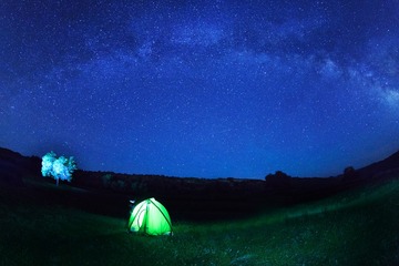 _55D9002-1x