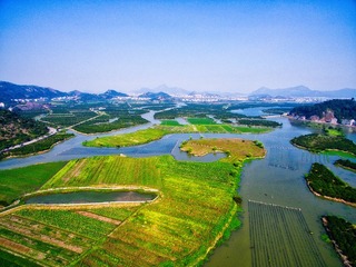 DJI_0521-x
