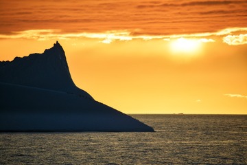 5D4_7201-x