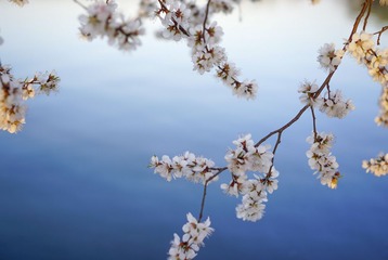 _DSC5386-1x