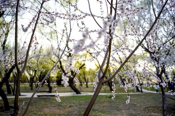 _DSC5283-x