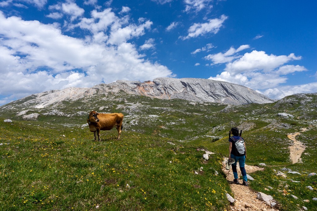 Alpe di Sennes