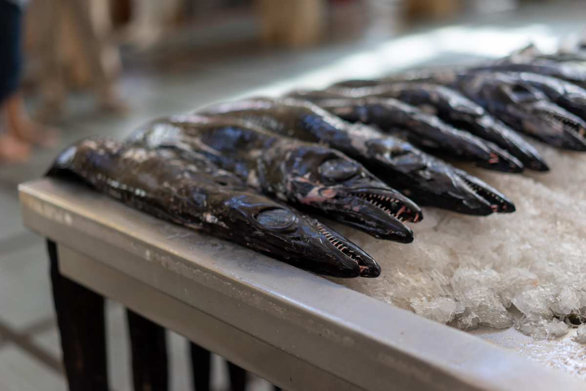 funchal市,当地菜场的黑鱼叫做black scabbard fish(谷歌说是黑刀鱼)