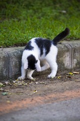 IMGP1226.jpg