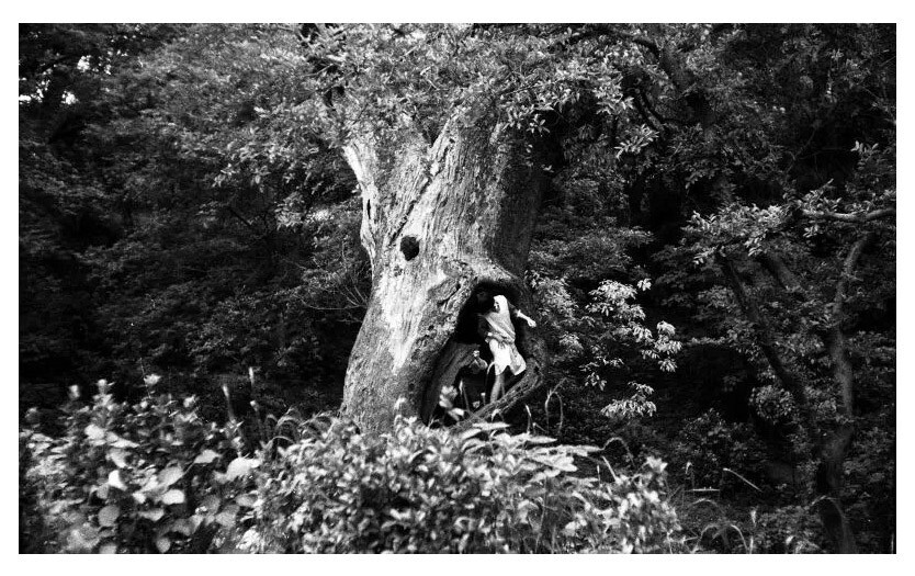 摄于1991年，江西南昌八一公园。在树洞里玩耍的孩子。凤凰205，乐凯胶片拍摄