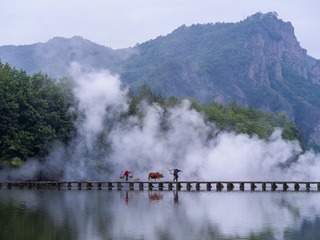 7907