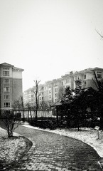 C360_2012-03-24-12-23-22.jpg