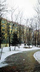 C360_2012-03-24-12-37-53.jpg
