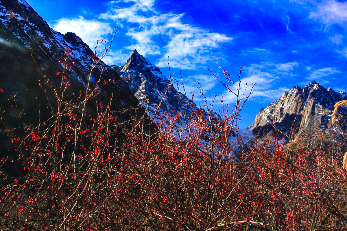 毕棚沟位于四川省阿坝藏族羌族自治州理县境内是著名的国内红叶观赏
