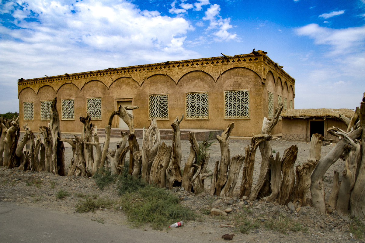 伊吾胡杨林是世界仅存的三片胡杨林之一面积达476万亩伊吾原始胡杨林