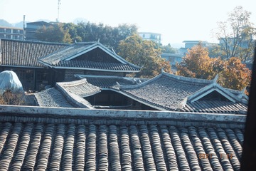 D841FD51-37E6-4848-A50C-B0E0023CCF85/L0/001