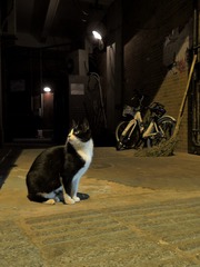 等你回家