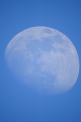 8111F25F-0FEC-4782-8E8E-AACCA3FEB238/L0/001