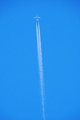 02D8582D-560D-4733-B21C-45825EA1DEB5/L0/001