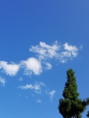 8AC01772-FDD2-4E6D-8186-3240C59102FB/L0/001