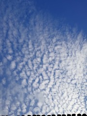 11E69E5F-02A8-4CDB-BB7F-C4D60338A0B9/L0/001