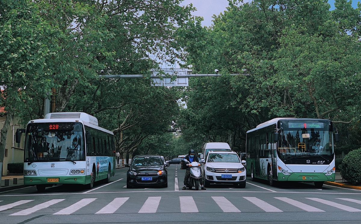 青岛栈桥-丁字路口-等待