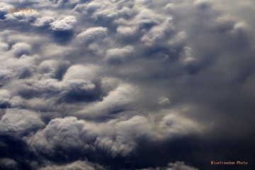 nEO_IMG__DOU2781.jpg