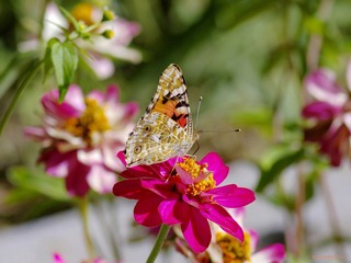 nEO_IMG__DOU2263.jpg