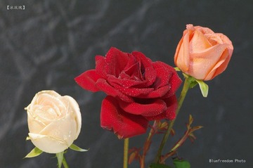 nEO_IMG__DOU1133.jpg